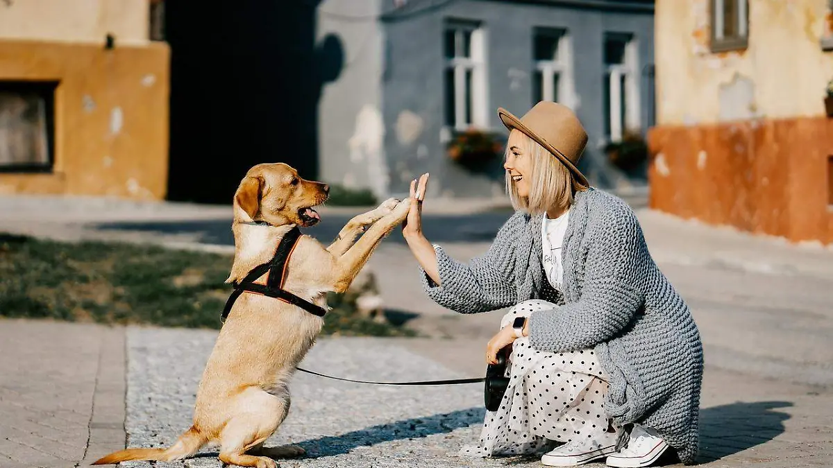 Mujer jugando con un perro